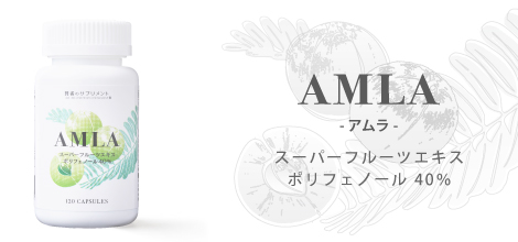 賢者のサプリメント AMLA（アムラ）120カプセル ポリフェノール 40％規格品 アーマラキー アマラキー